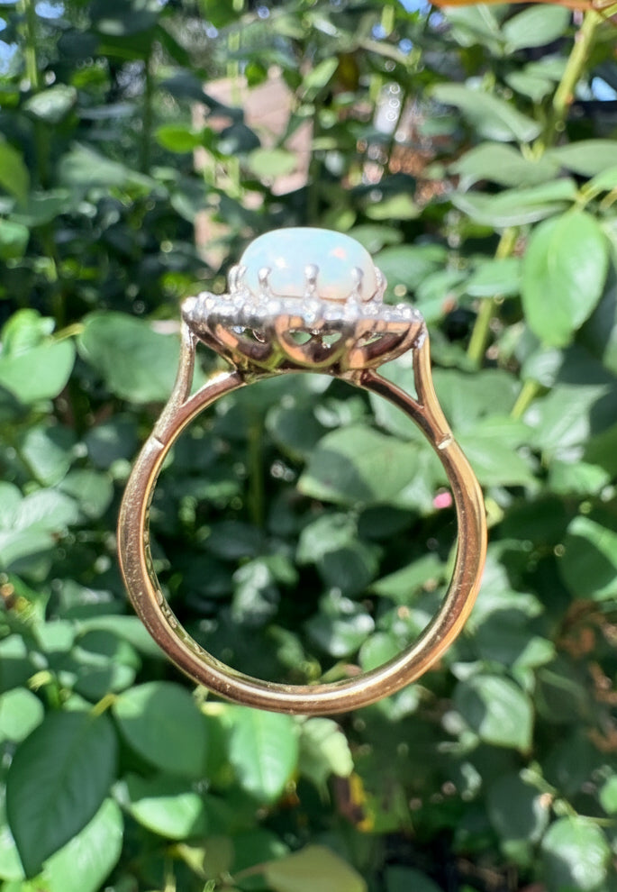 A gold ring with an opal centre stone, photographed outdoors against green leaves.