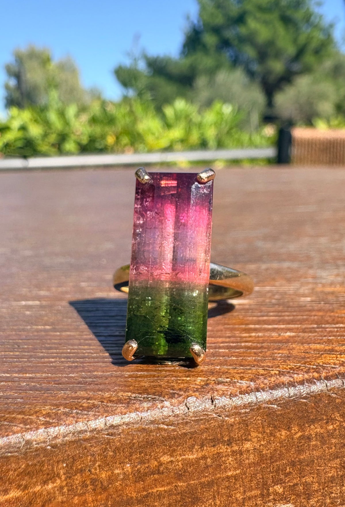 9.97ct Watermelon Tourmaline Statement Ring in 9ct Gold